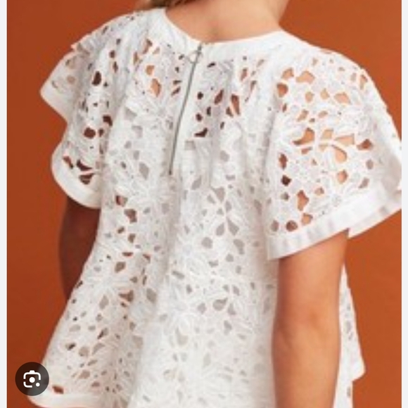 Anthropologie Tops - $90 Anthropologie Eri + Ali Layering Piece Lace Sheer Blouse Quiet Luxury